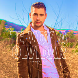 Te Voy A Olvidar