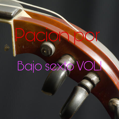 Pación de bajo sexto