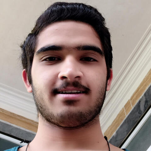 Sarab Man 2