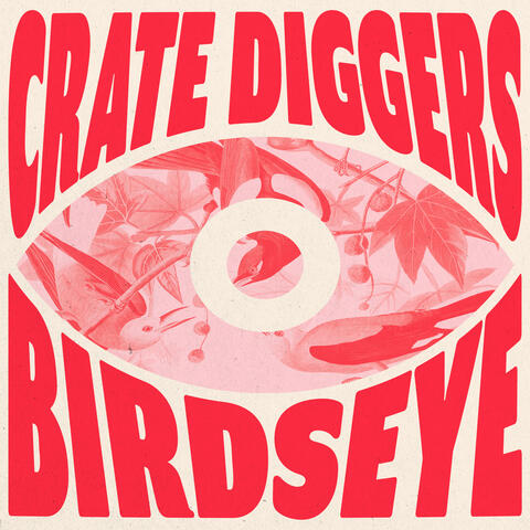Birdseye