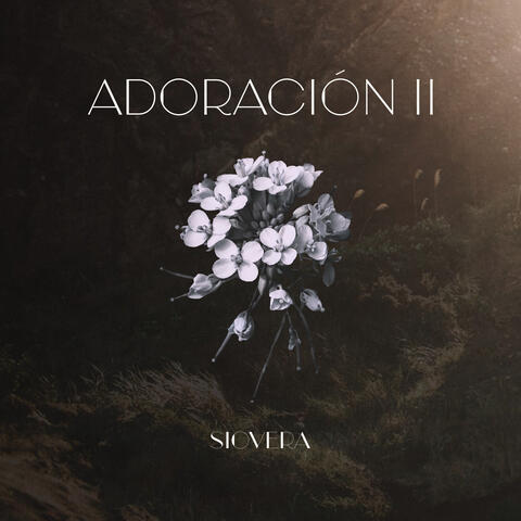 Adoración II