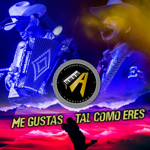 Me gustas tal como eres