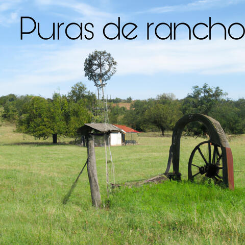 Puras de rancho