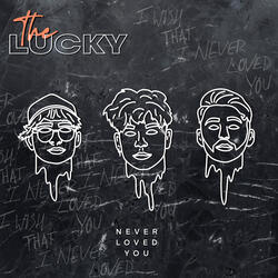 Never Loved You