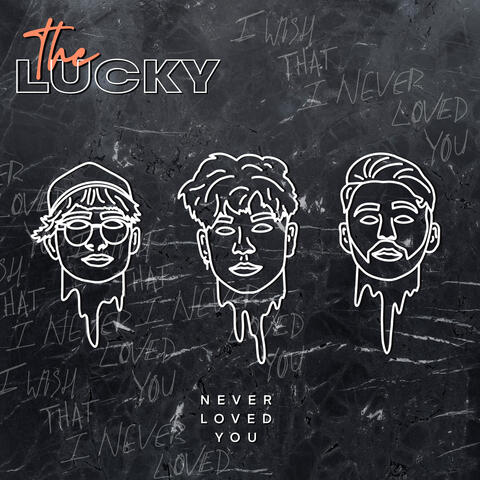 Never Loved You