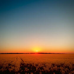 spring is coming