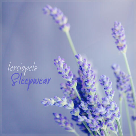 Terciopelo
