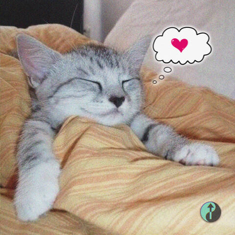 COMFORTABLE