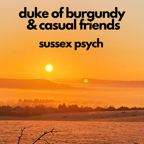Duke of Burgundy and Casual Friends