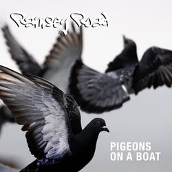 Pigeons on a Boat