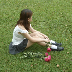 No Roses Tonight