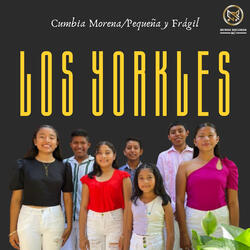 Cumbia Morena/Pequeña y Frágil