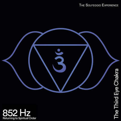 852 Hz Returning To Spiritual Order (The Third Eye Chakra)