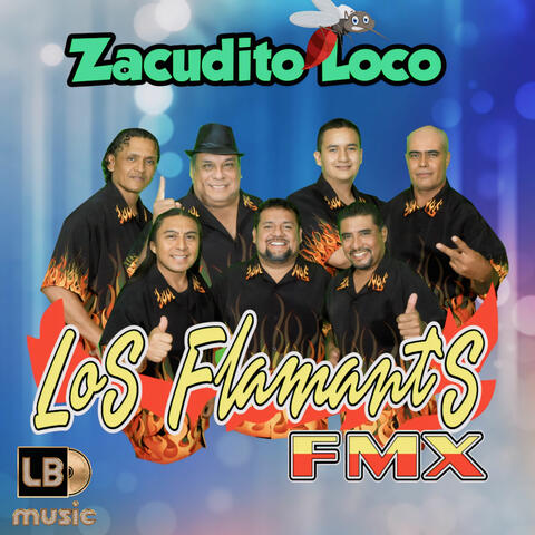 Zacudito Loco