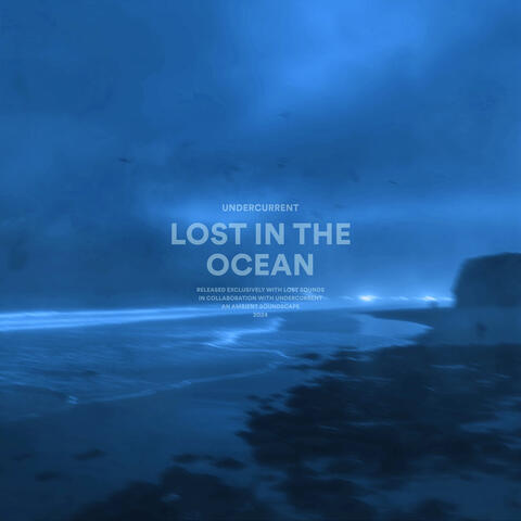 lost in the ocean