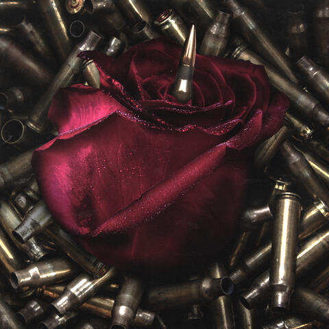 Guns & Roses