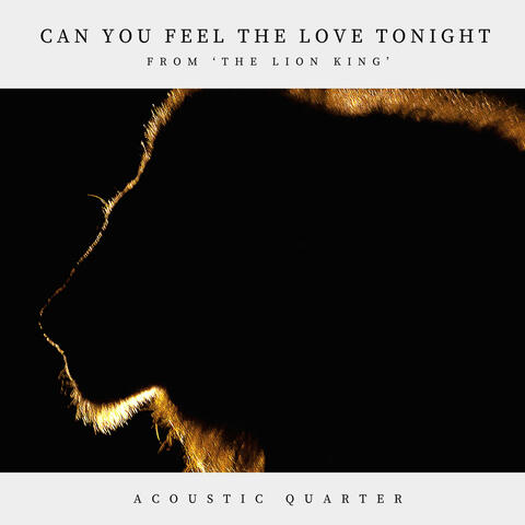 Can You Feel The Love Tonight (From 'The Lion King')