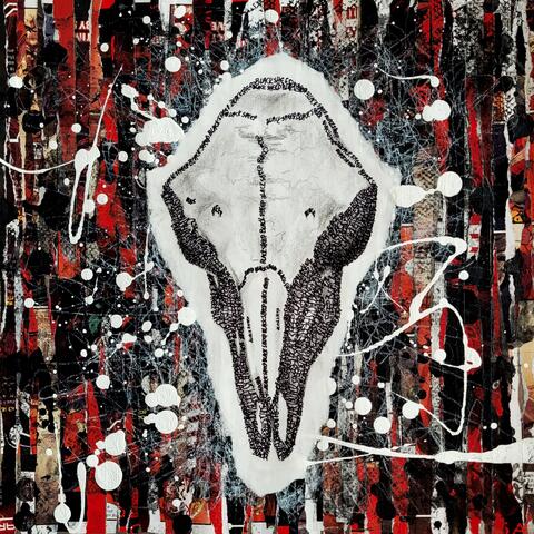 Black Sheep