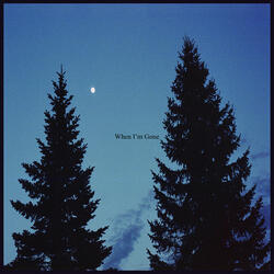 When I'm Gone (Acoustic Version)