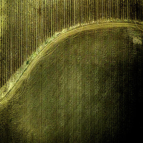 Songlines