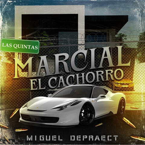 Marcial el cachorro