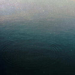 Equilibrium