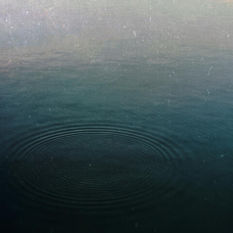 Equilibrium