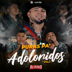 Popurrí  Puras Pa' Adoloridos, Vol. 1: Mi Eterno Amor Secreto / Si no te Hubieras Ido / Se va Muriendo mi Alma