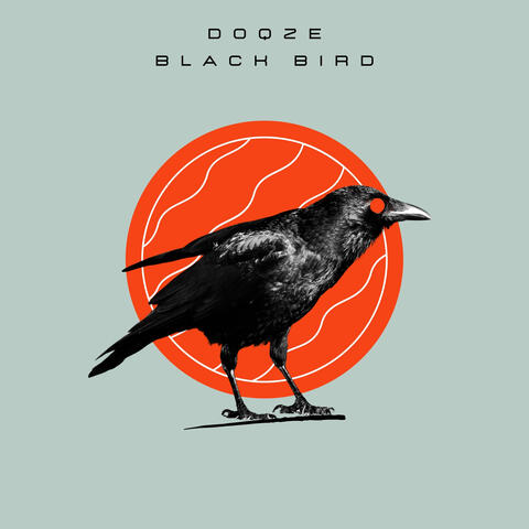 Black Bird