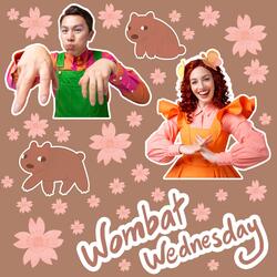 Wombat Wednesday