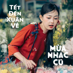 Sầu Tím Thiệp Hồng (Lofi)