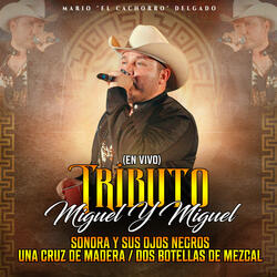 Tributo a Miguel Y Miguel: Sonora Y Sus Ojos Negros / Una Cruz de Madera / Dos Botellas de Mezcal (En Vivo)