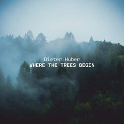 Where The Trees Begin