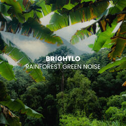 Rainforest Green Noise