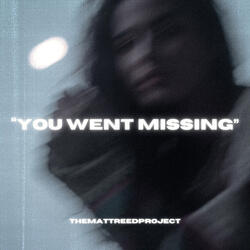 You Went Missing