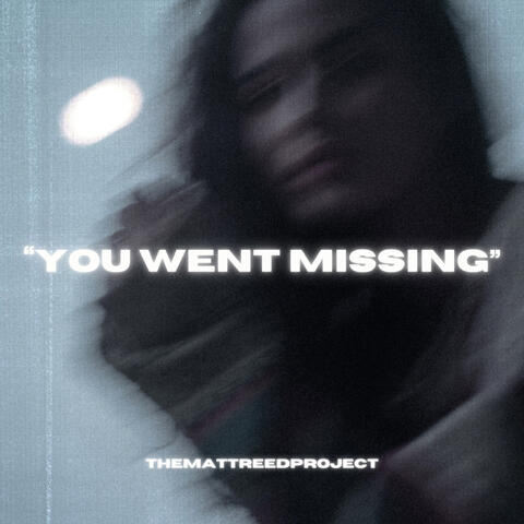 You Went Missing