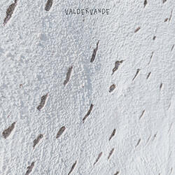 White Noise Fantasia