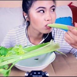 Extreme CRUNCHY Celery & Pickles Eating Sounds, Pt. 3