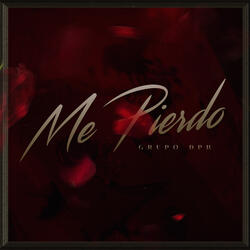 Me Pierdo