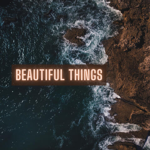 Beautiful Things