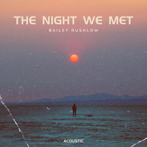 The Night We Met