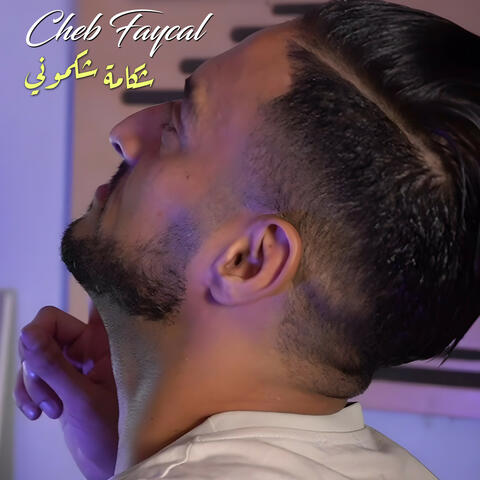 شكامة شكموني