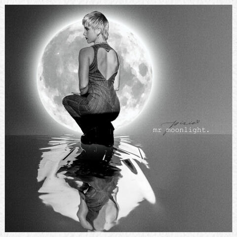 Mr Moonlight