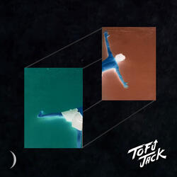 All I Wanna Do (TOFU JACK FLIP)