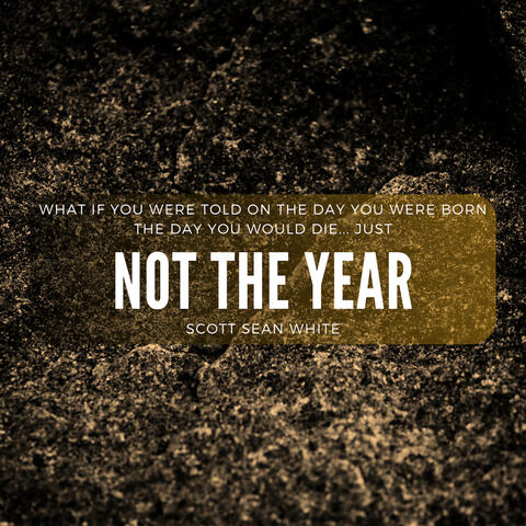 Not The Year