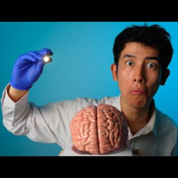 Assembling Your Brain