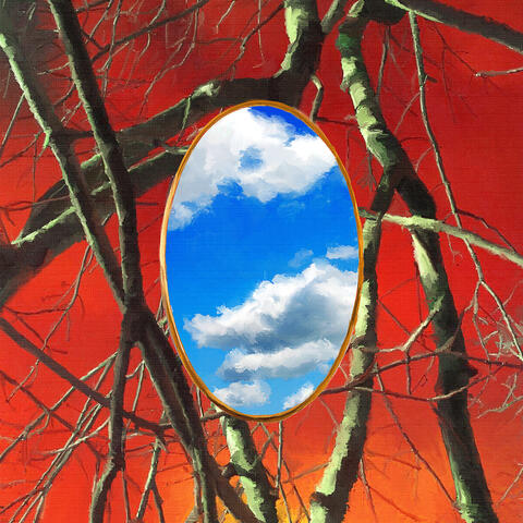 Into The Mirror