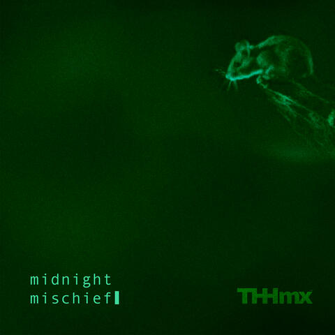 Midnight Mischief