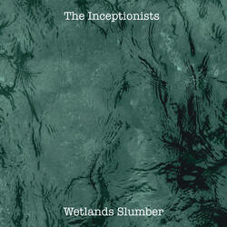 Wetlands Slumber