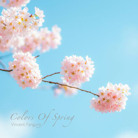 Colors Of Spring